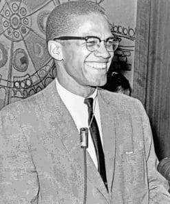 Malcolm X Smiling - Paint By Numbers