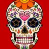 White Folk Art Skull Paint by numbers
