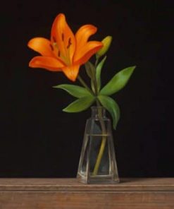 Orange Flower In A Glass Vase – Paint By Number