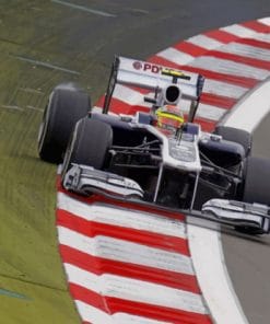 Pastor Maldonado Formula One - Paint By Numbers