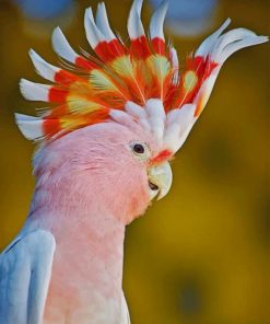 Pink Cockatoo Bird - Paint By Numbers