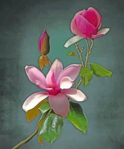 Pink Flower Paint by numbers