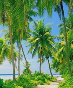 Puerto Rico Beach With Palms - Paint By Number