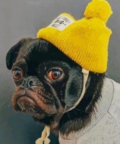 Pug With Yellow Hat - Paint By Number