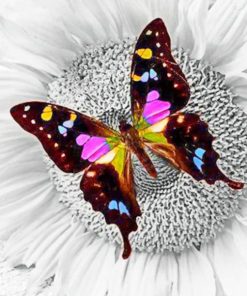 Purple Butterfly On Sunflower - Insects Paint By Numbers