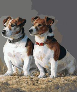 Jack Russell Dogs - Paint By Numbers