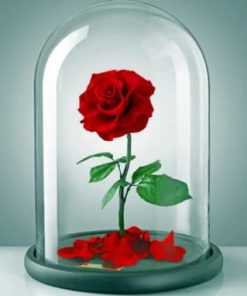 Red Rose – Paint By Number