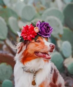 Rough Collie With Flowers – Paint By Number