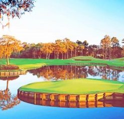 Sawgrass Golf Course  – Paint By Number