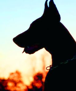 Doberman Silhouette – Paint By Number