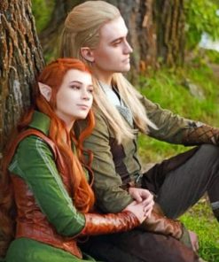 The Lord Of The Rings Couple - Paint By Numbers
