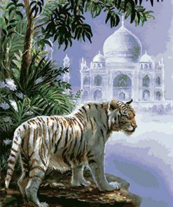 The Indian White Tiger Paint by numbers