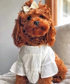Adorable Cockapoo - Paint By Numbers
