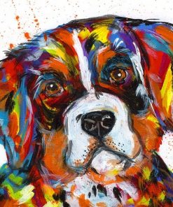 Bernese Mountain Dog paint by numbers