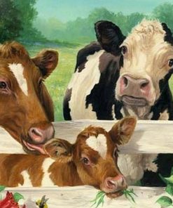 Cows In Cowshed - Paint By Numbers