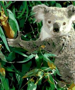 Koala Eucalyptus - Paint By Number