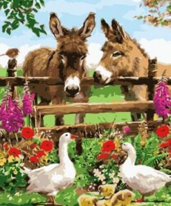 Donkeys In Farm - Paint By Numbers