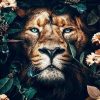 King of The Jungle Paint by numbers