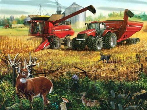Farm During The Harvest