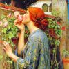 The Soul Of The Rose Paint by numbers