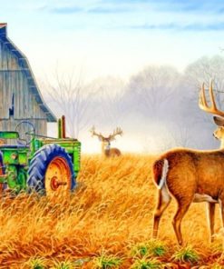 Male Deer In Farm - Paint By Numbers