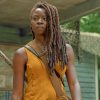 Michonne From The Walkinng Dead Paint by numbers