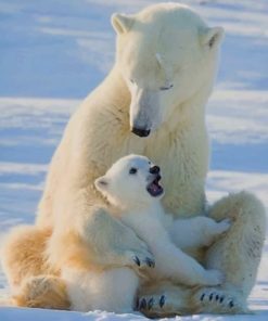 Mom And Baby Polar Bear - Paint By Numbers