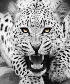 Black and White Tiger Piant by numbers