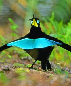 Aesthetic Bird Of Paradise Paint by numbers