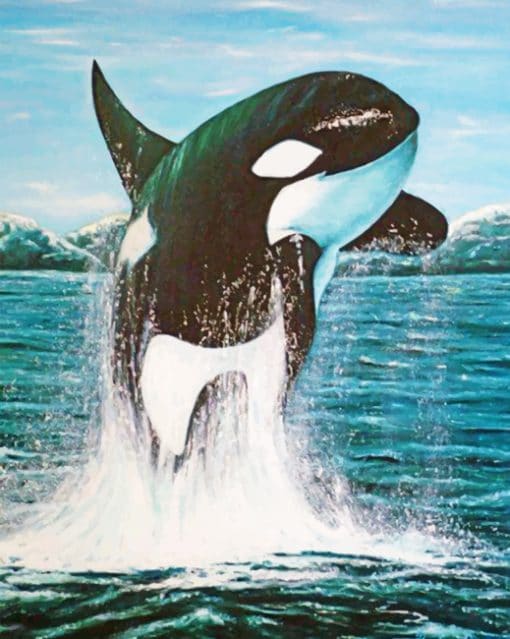 Aesthetic Whale Paint by numbers