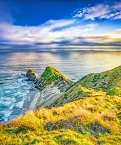 Auckland Landscape Paint by numbers