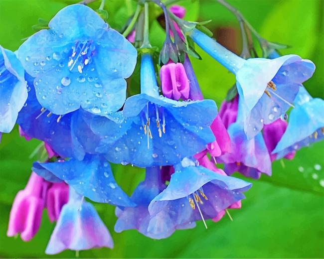Beautiful Bluebells Paint b y numbers