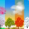 Four Seasons Paint by numbers