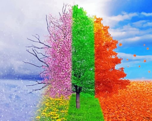 Four Seasons Tree Paint by numbers