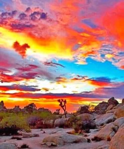 Joshua Tree National Park - Paint By Number