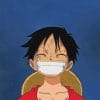 Luffy paint by numbers