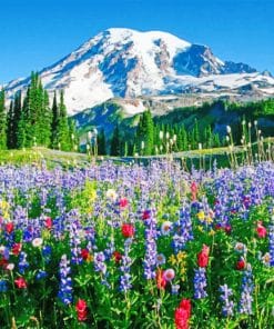 Mount Rainier paint by numbers