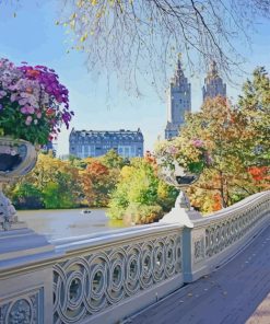 New York Central Park Spring Paint by numbers