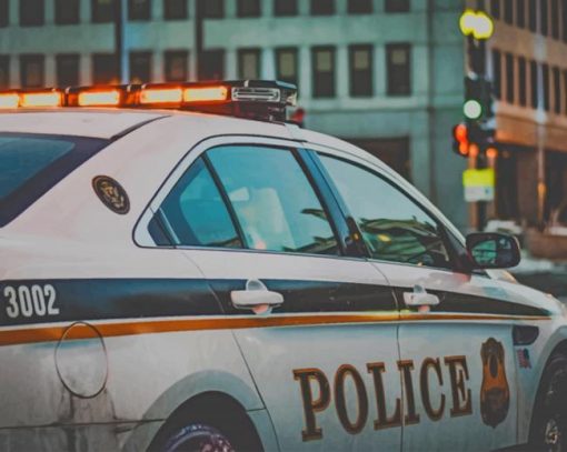 American Police Car Paint by numbers