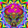 Psychedelic Animal Paint by numbers