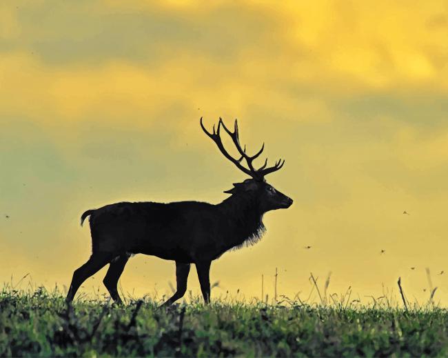 Stag Silhouette Paint by numbers