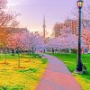 Toronto Cherry Blossoms Paint by numbers