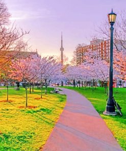 Toronto Cherry Blossoms Paint by numbers
