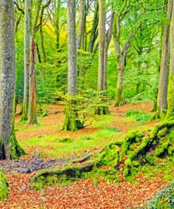 Woodland paint by numbers