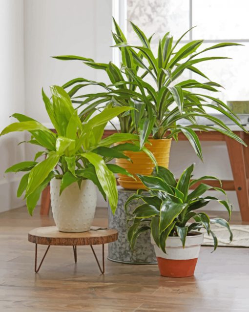 Aesthetic Green Plants paint by numbers