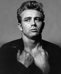 Black And White James Dean paint by numbers