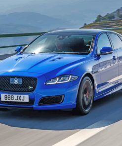 Blue Jaguar Paint by numbers