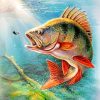 Carp Fish paint by numbers