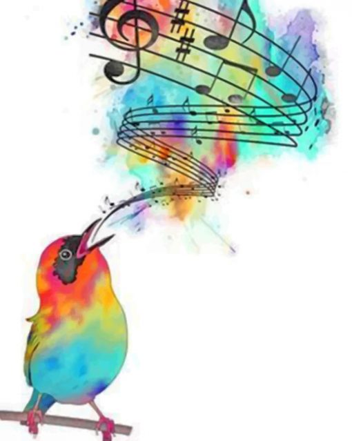 Colorful Bird paint by numbers