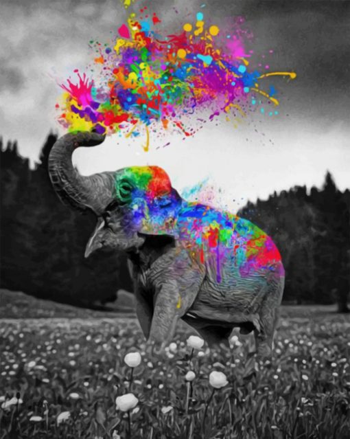 Colorful Elephant paint by numbers